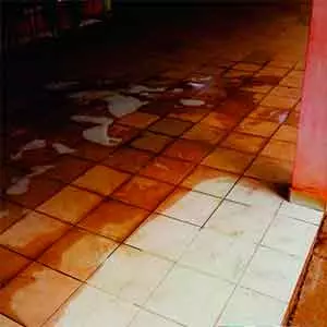 lavagem a seco tapete